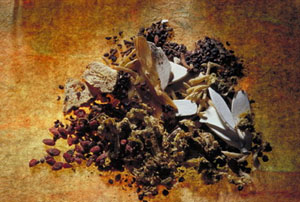 大腿內(nèi)側(cè)長白斑吃點什么藥好