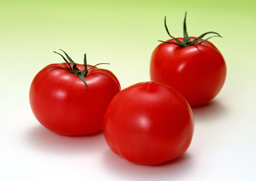 白癜風患者可以吃番茄嗎