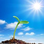 長期用308準分子激光照光治療對身體有害處嗎