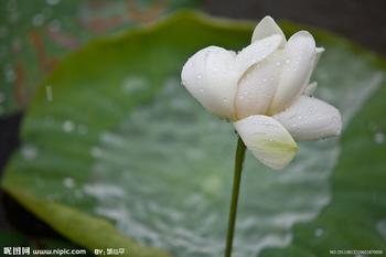 腰部的白癜風會不會擴散到臉上