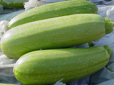 白癜風能吃西葫蘆嗎