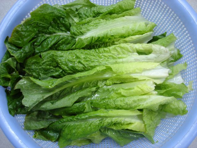 白癜風(fēng)能吃萵苣嗎