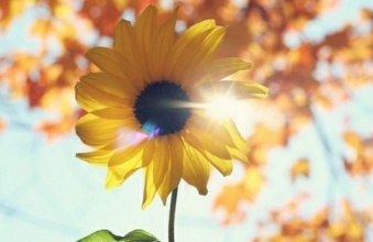  白癜風照太陽會變得更大嗎平常要注意什么