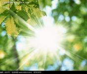 白癜風患者可以曬太陽嗎