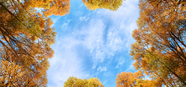 助力秋季開學,實現白斑復色——特邀京冀醫師來院會診預約掛號通道開啟!