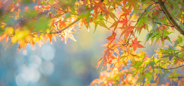 喜迎國慶,金秋送健康北京白癜風醫師大型會診援助活動啟動!