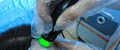 石家莊遠大攜高考指南 愿考生金榜題名前程似錦