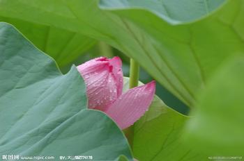 血液檢查可以確定皮膚白斑是否是白癜風嗎