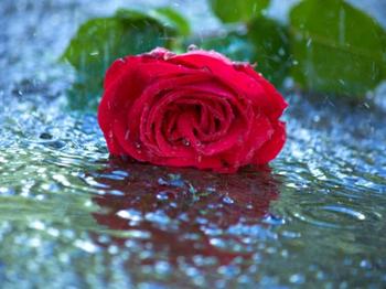 不同類型的白癜風(fēng)應(yīng)如何診斷