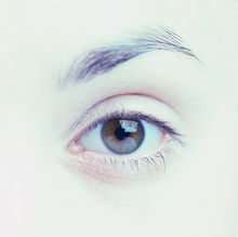 <a href=http://www.xvxgx.cn/ target=_blank class=infotextkey>石家莊白癜風醫院</a>:左眼角膜白斑是白癜風嗎