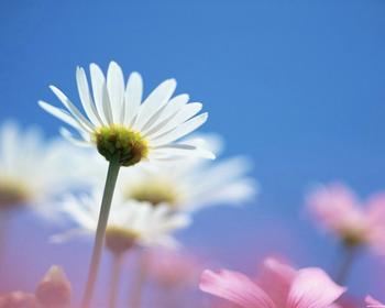 白癜風(fēng)初在突顯在皮膚上有什么特點(diǎn)