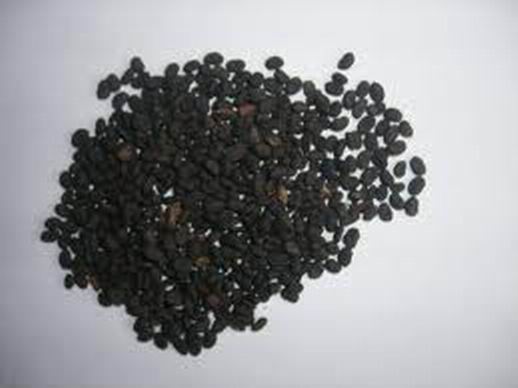 補骨脂泡酒能不能用于白癜風