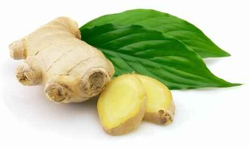 生姜治療白癜風