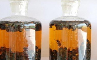 無花果泡酒對(duì)白癜風(fēng)效果好嗎